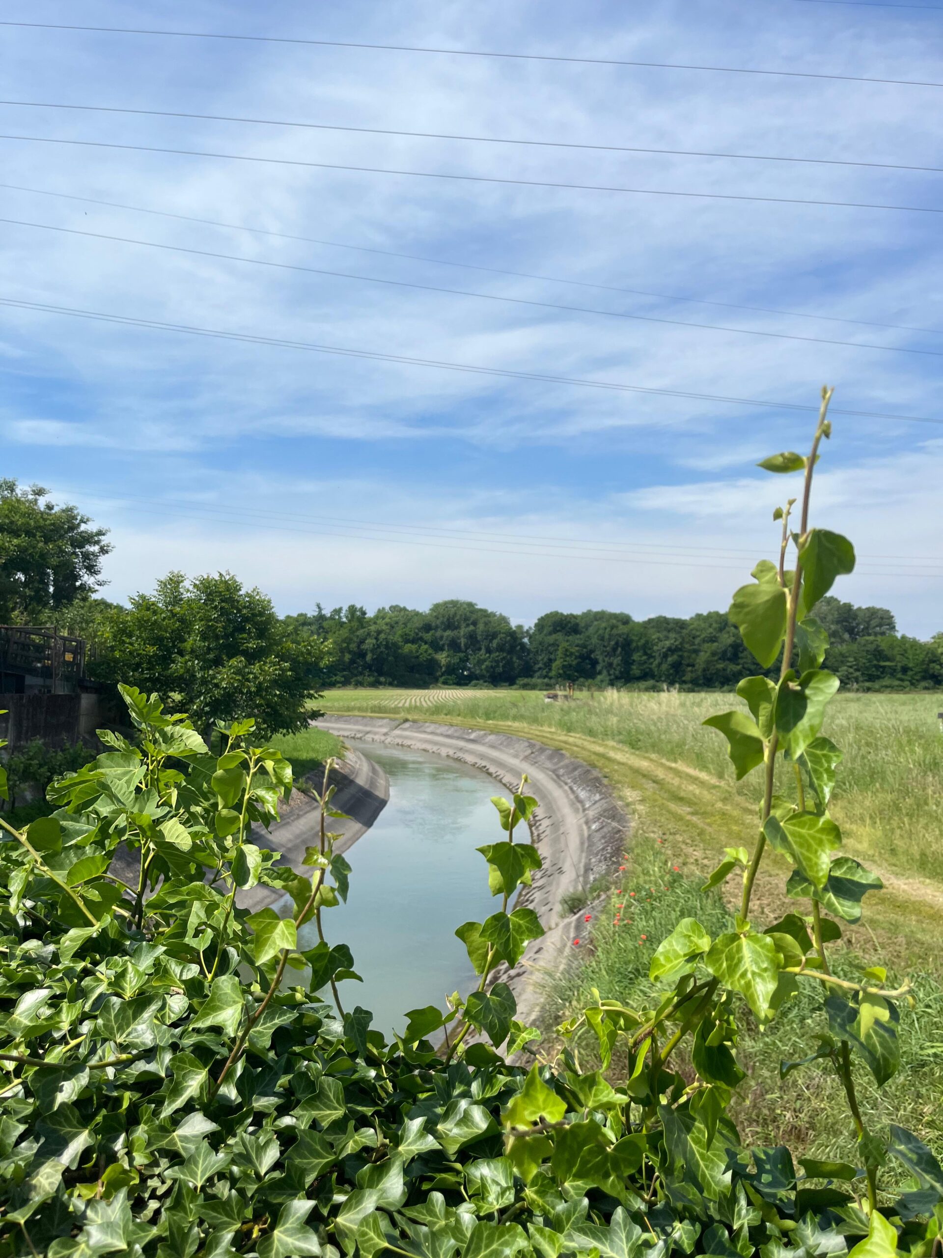 La bonifica tra Alta e Bassa Pianura